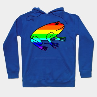 Rainbow Frog Hoodie